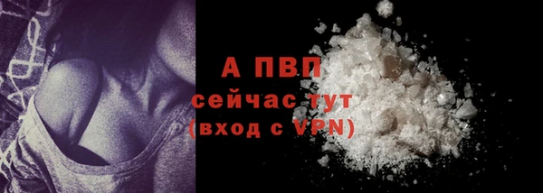 стаф Белоозёрский