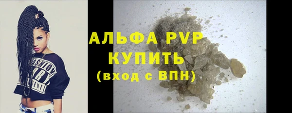 PSILOCYBIN Переславль-Залесский